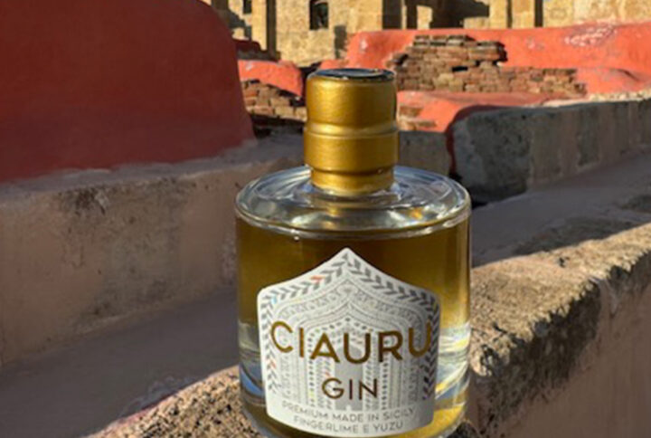 Ciauru Gin Original 5 cl
